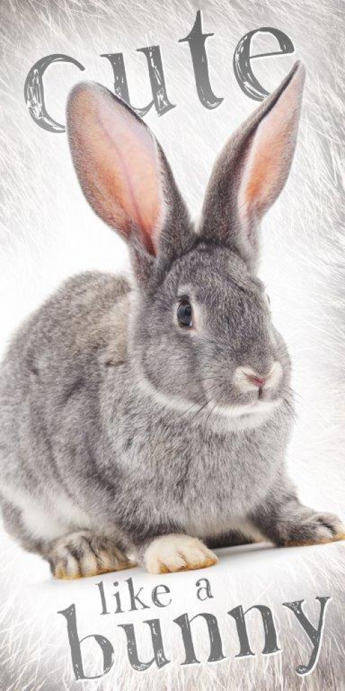 Osuška froté - králik