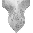 Veľkonočný teflónový obrus - strieborné vajcia 